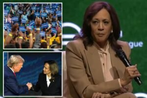Read more about the article Kamala Harris teases potential 2028 platform: âI know this is going to be controversialâÂ 