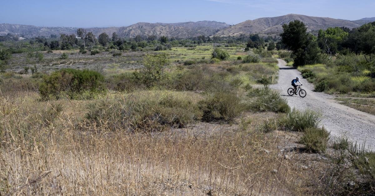 You are currently viewing Japanese company bets on water-from-air tech to help water-starved areas in California