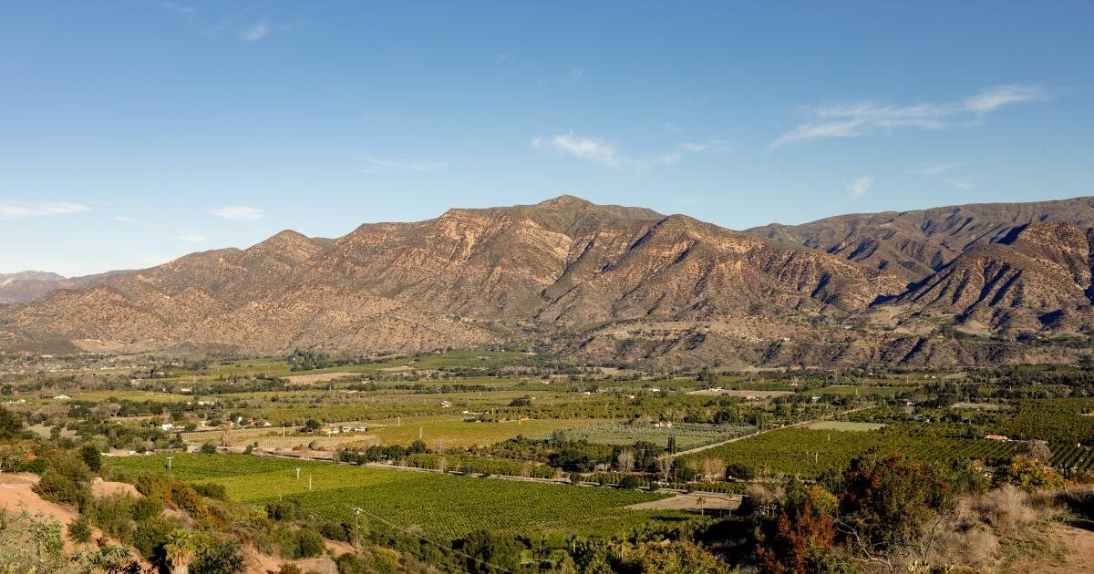 You are currently viewing 7 new things to do in Ojai, like roam in an oasis of giant tortoises