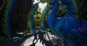 Read more about the article L.A. Zoo nonprofit bankruptcy case dismissed, boosting city’s fight over $50 million endowment