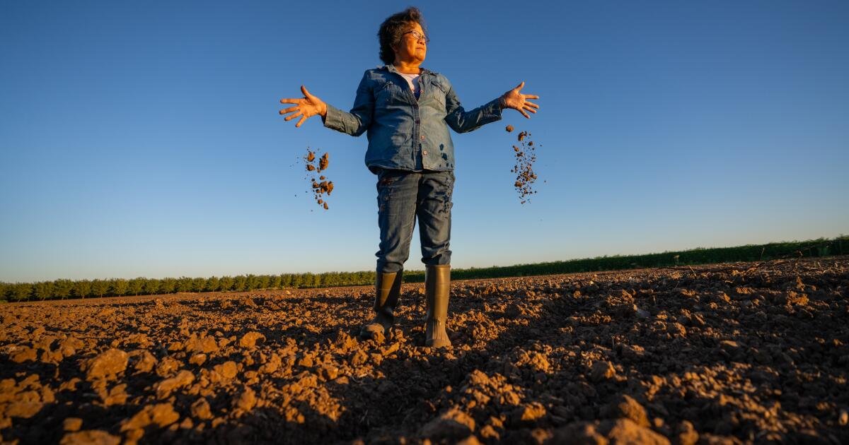 You are currently viewing California’s tightening groundwater rules put small farmers at risk