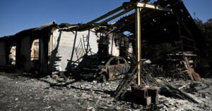 Read more about the article Photos: Spain and France battle record wildfires