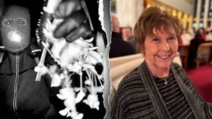 Read more about the article Nancy Guthrie scene hair sample DNA test yields no profile, sheriff says