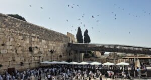Read more about the article An Israeli paraglider tries to save migrating swifts that nest in the Western Wall