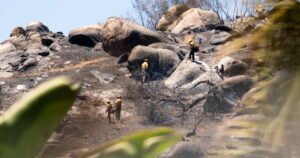 Read more about the article Crews bring Ramona fire largely under control, evacuations lifted