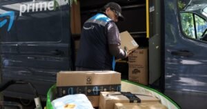 Read more about the article Toddler bitten by a rattlesnake hidden underneath Amazon package