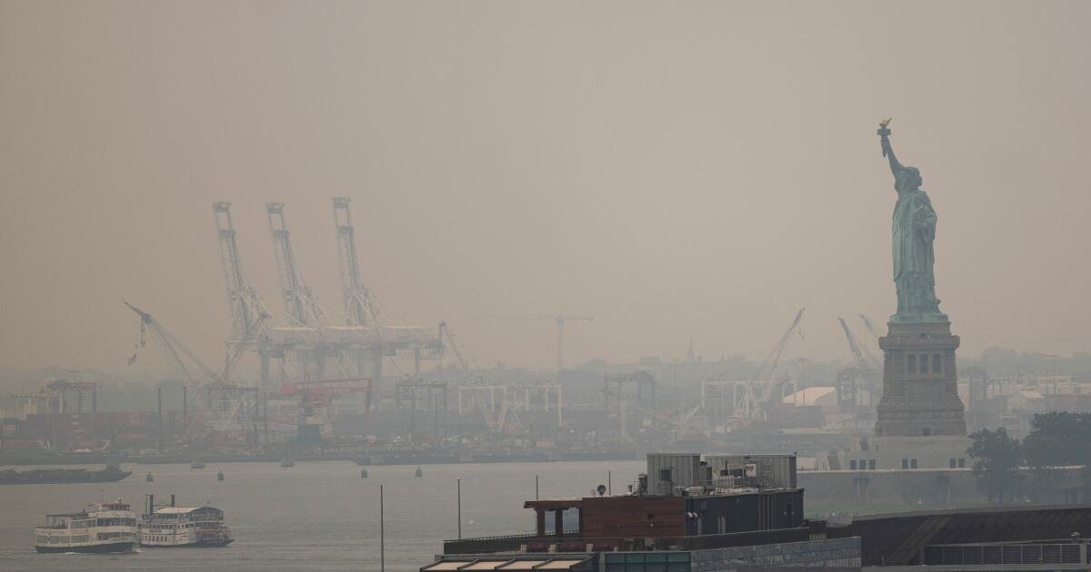 Read more about the article World Cup appears to have dodged worse wildfire smoke thanks to rain