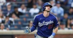 Read more about the article Kyle Tucker homers again as Dodgers secure series win over Mets