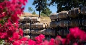Read more about the article Tariff war with Canada is hurting California’s wine industry