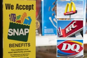 Read more about the article Taxpayer-funded SNAP food program for low-income Americans spent $524M at fast-food chains: ‘The “N” in SNAP stands for “nutrition” … not nuggets’