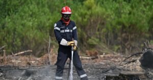 Read more about the article As heat and dry conditions fan wildfires in France, volunteers fan out to help