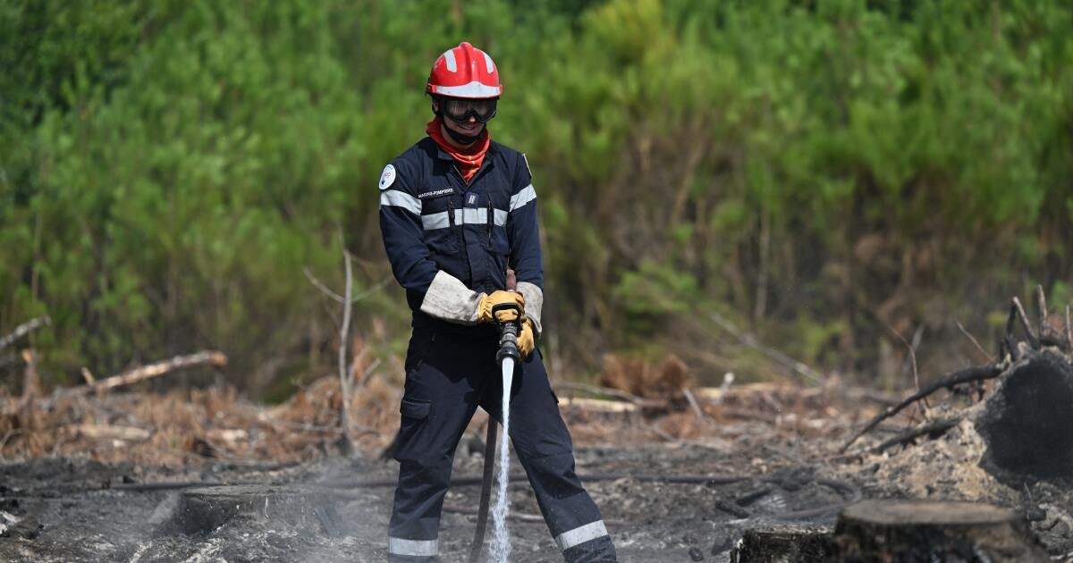 You are currently viewing As heat and dry conditions fan wildfires in France, volunteers fan out to help
