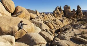 Read more about the article These are our favorite 'mental health escapes' within driving distance of L.A.