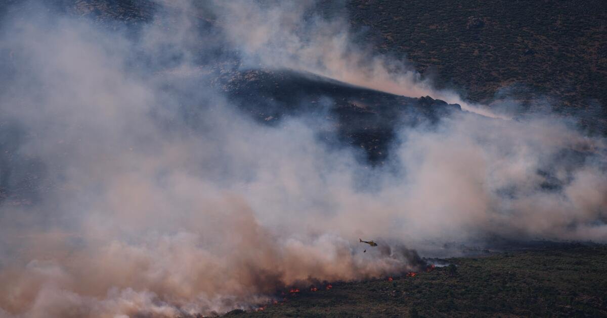 You are currently viewing Tens of thousands flee wildfires in France and Spain