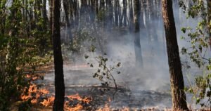 Read more about the article Southern Europe burns as 2 firefighters die and France battles blaze 4 times the size of Paris