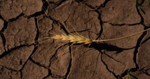 Read more about the article Trump administration admits grants for clean energy were canceled based on politics