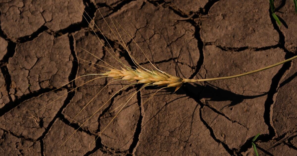 You are currently viewing Trump administration admits grants for clean energy were canceled based on politics