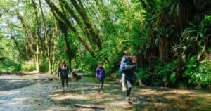Read more about the article California’s 10 most popular state campgrounds