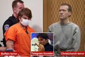Read more about the article Australia begins legal action against Telegram over alleged pro-terror material