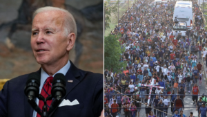 Read more about the article Trump should appoint a commission to study the Biden border crisis