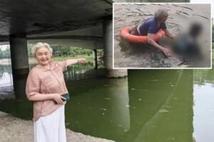 Read more about the article Chinese grandma, 71, who recently learned how to swim leaps into river to save drowning man