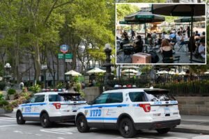 Read more about the article NYC homeless man hurls cell phone at baby in stroller during Bryant Park horror attack: cops