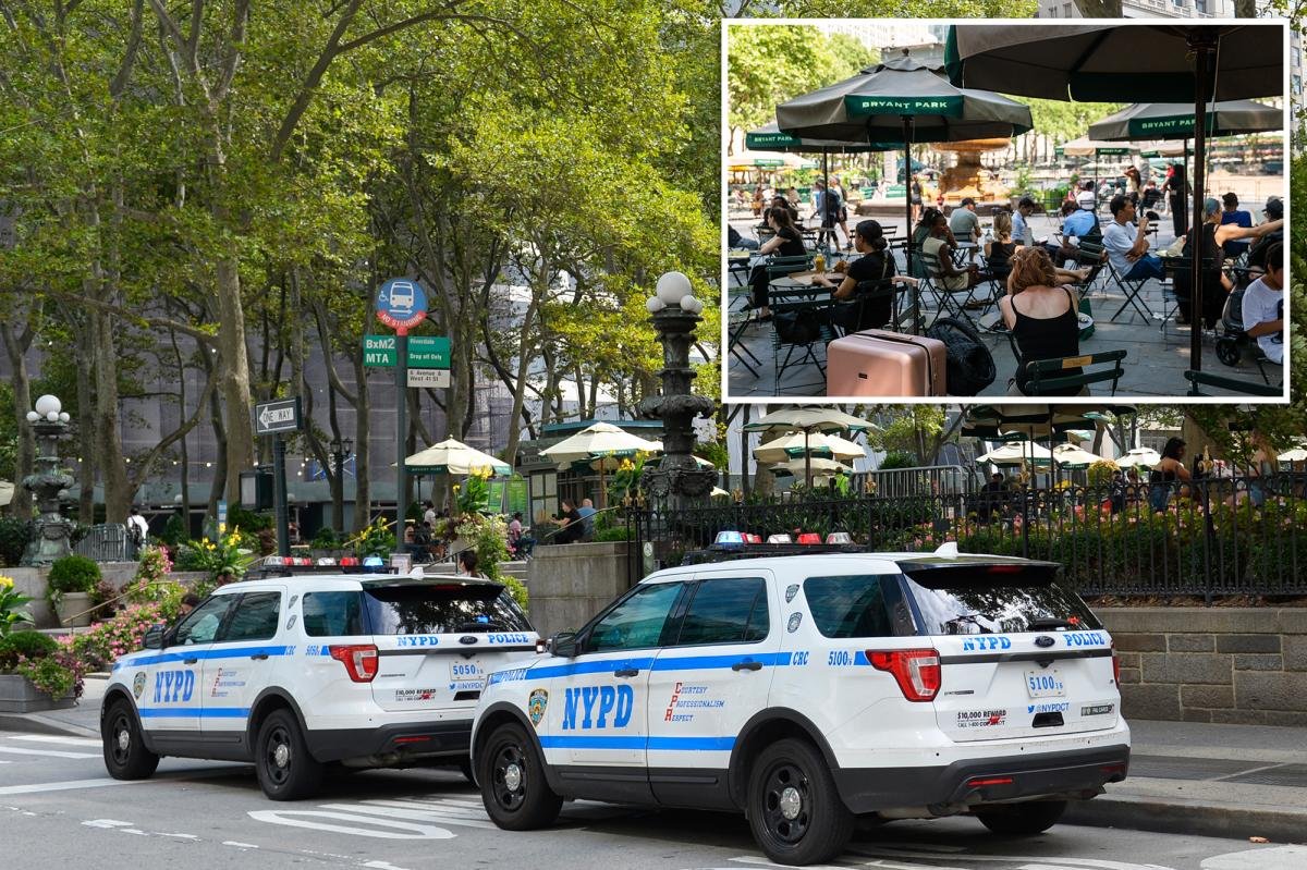 Read more about the article NYC homeless man hurls cell phone at baby in stroller during Bryant Park horror attack: cops