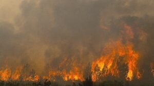 Read more about the article France wildfires threaten nuclear and defense sites near Bordeaux