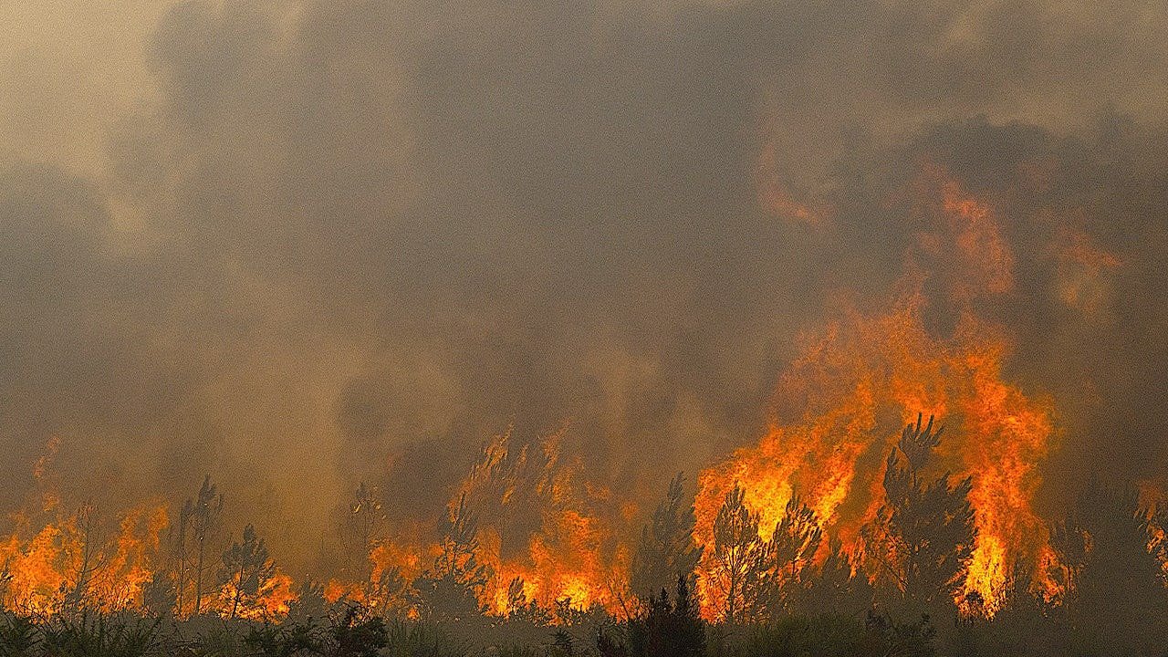 You are currently viewing France wildfires threaten nuclear and defense sites near Bordeaux
