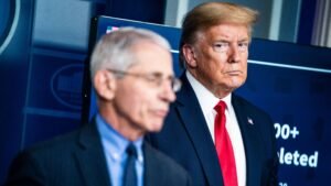 Read more about the article Fauci pandemic diaries reveal Trump, Julia Roberts and Hunter Biden
