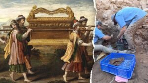 Read more about the article Ancient olive pits and lentils discovered at biblical Shiloh site by experts