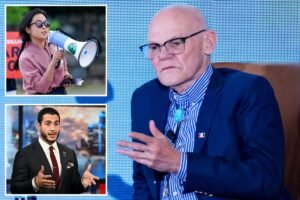 Read more about the article James Carville says one democratic socialist’s ‘lunacy’ policy could haunt swing-state Dems