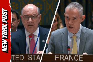 Read more about the article US walks out on France at UN Security Council meeting, tears into ally: ‘Condescending and disrespectful’ (Video)