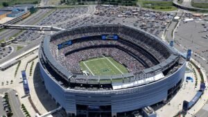 Read more about the article NFL players may collectively bargain for grass fields in future negotiations but it would come at a cost
