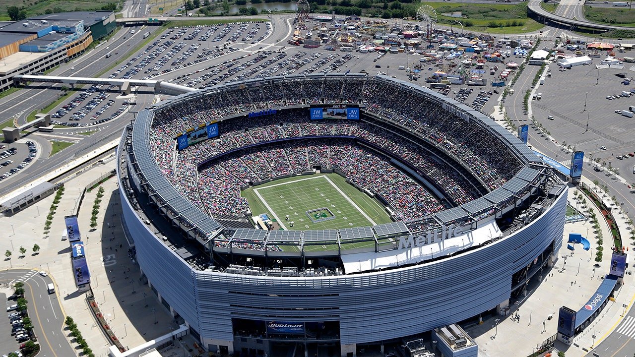 Read more about the article NFL players may collectively bargain for grass fields in future negotiations but it would come at a cost