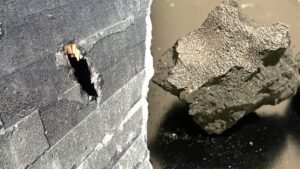 Read more about the article New Jersey meteorite contains amino acids, building blocks of life, scientists say