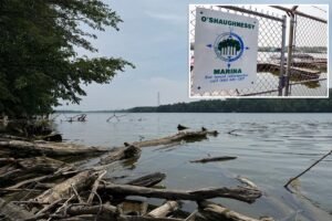 Read more about the article 5 dead after two sets of parents rush into Ohio River to rescue struggling swimmer and all drown