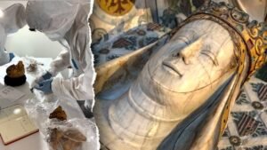 Read more about the article Barcelona royal tombs opened as researchers find wrong remains inside