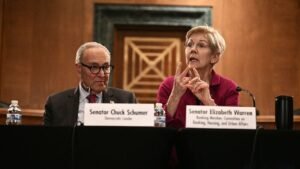 Read more about the article Elizabeth Warren backs El-Sayed in split from Schumer in Michigan Senate race