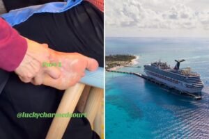 Read more about the article Carnival Cruise responds to passenger who horrified shipmates with disgusting act: âForks are intended for food, not foot careâ