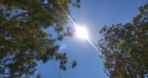 Read more about the article How to weather San Diego County’s increasing extreme heat