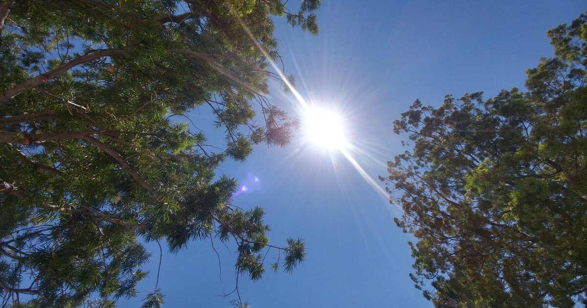 Read more about the article How to weather San Diego County’s increasing extreme heat