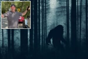 Read more about the article Rhode Island dad claims he saw Bigfoot in Connecticut woods — and detailed that it had ‘no boobs’