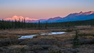 Read more about the article Alaska cold case cracked after Michigan man’s anonymous confession: police