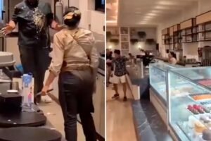 Read more about the article Wild videos show hotel employee attacking guests, co-worker at luxury Dominican Republic resort