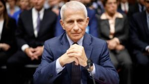 Read more about the article Dr Fauci to testify about COVID’s origins at Senate hearing and more top headlines