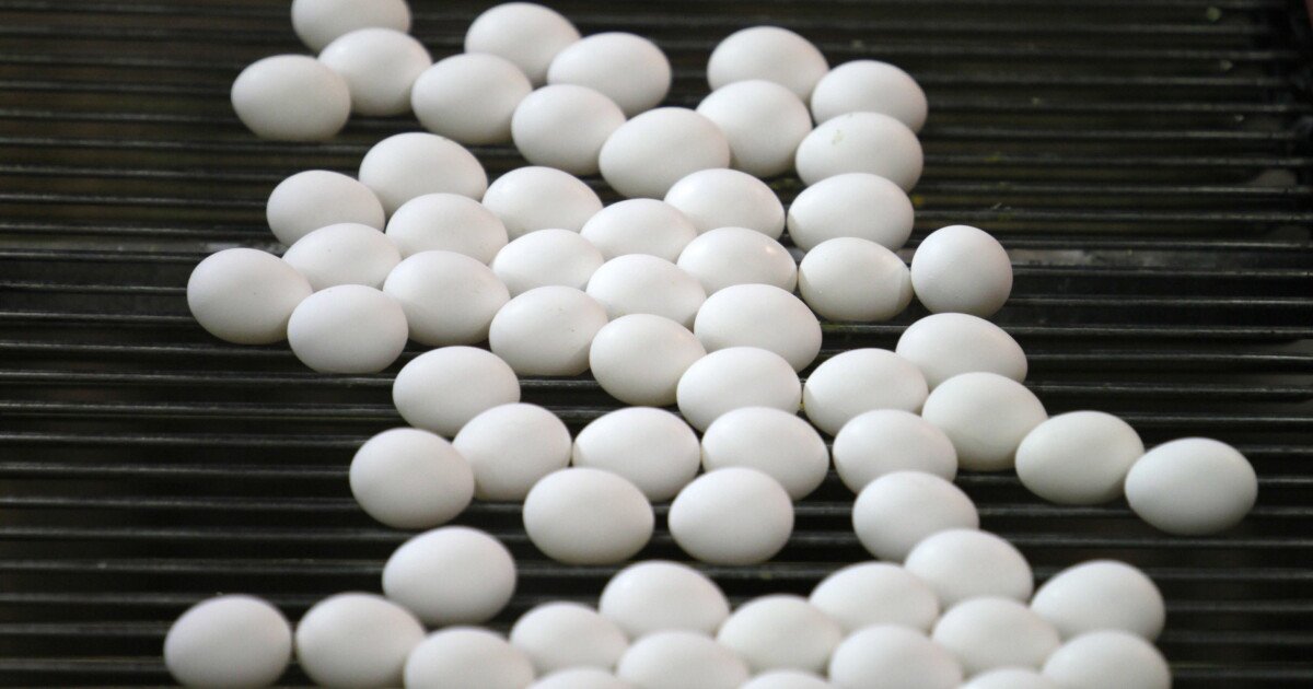 Read more about the article Salmonella outbreak linked to Ramona deli’s use of raw, unpasteurized eggs