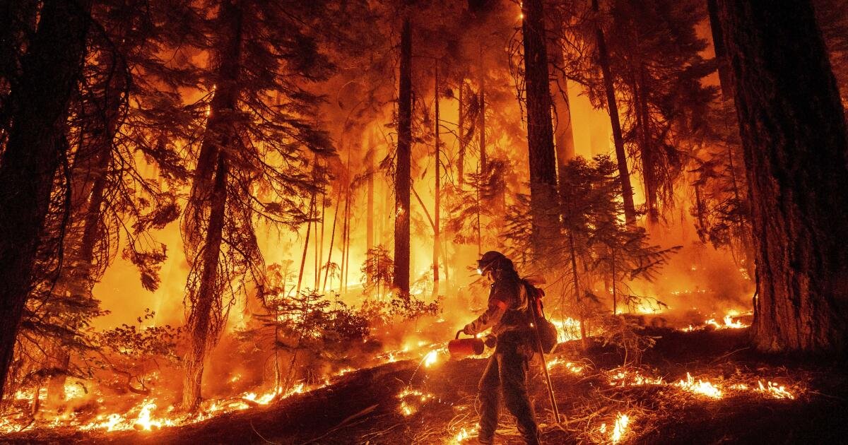 You are currently viewing Man who caused Park fire, one of the largest in California history, convicted of arson