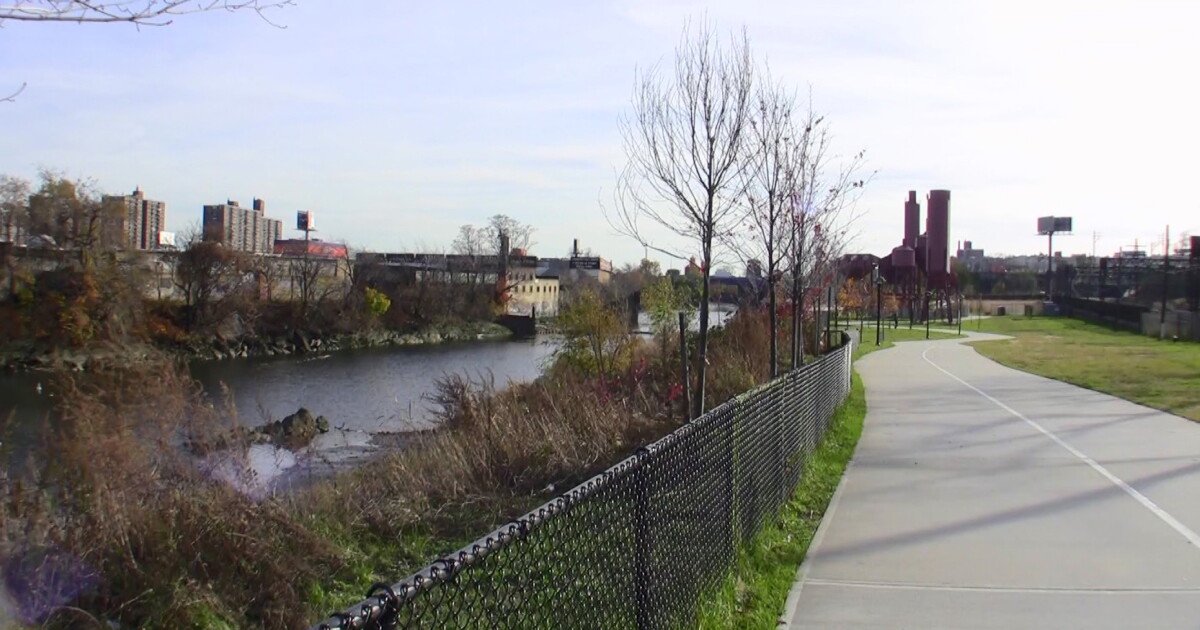 Read more about the article Greening of the Bronx: An Urban Garden Tale
