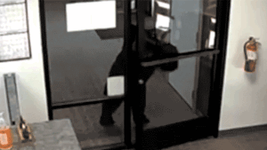 Read more about the article Black bear caught on video opening door, entering county office in California